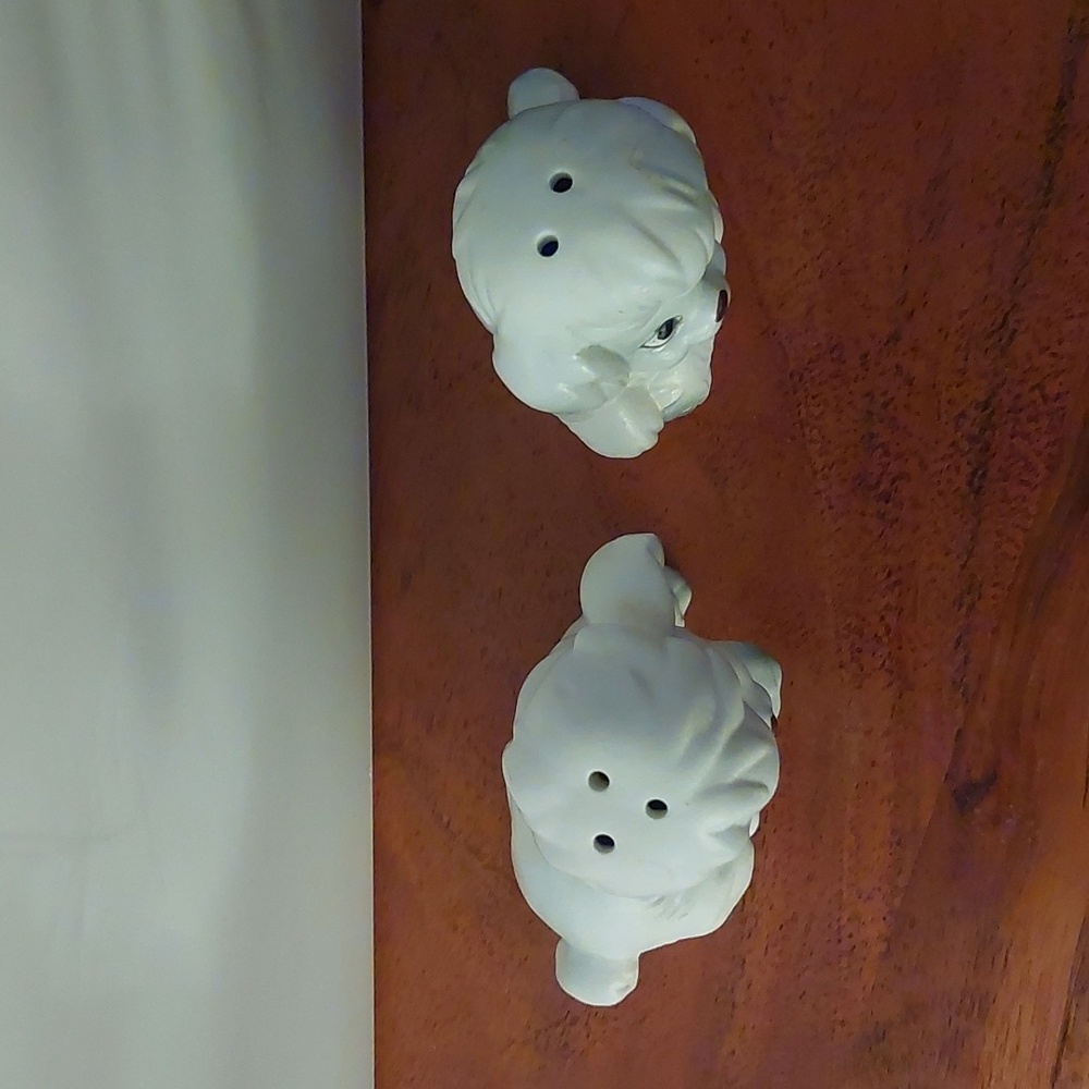Poodle Salt & Pepper - Picture 5 of 13